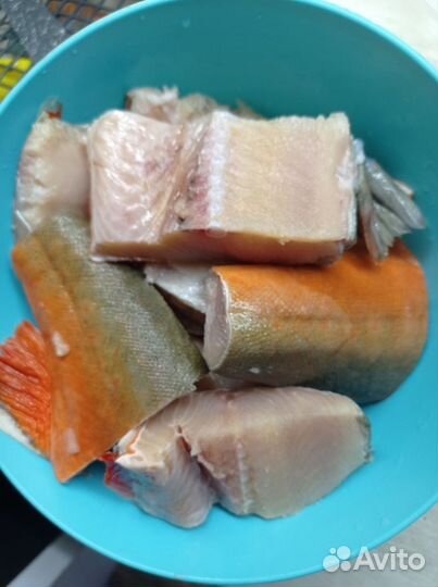 Лосось(Палия)