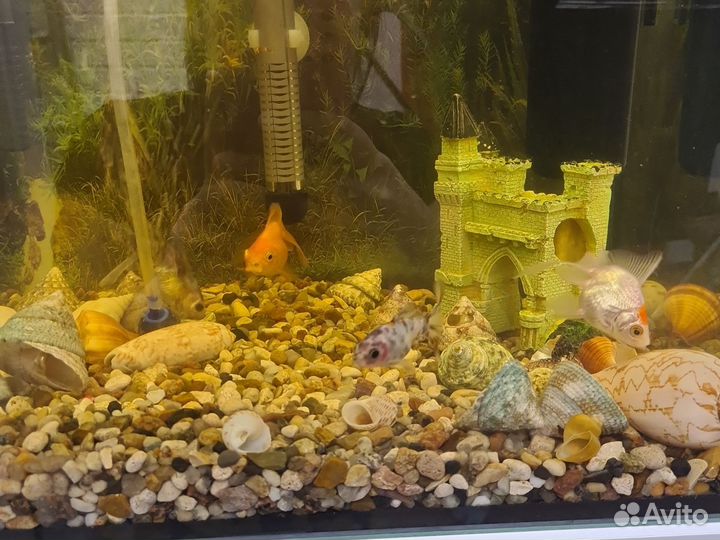 Аквариум 60л