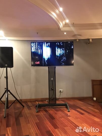 Аренда прокат плазмы телевизоры 55 дюймов (150 см)
