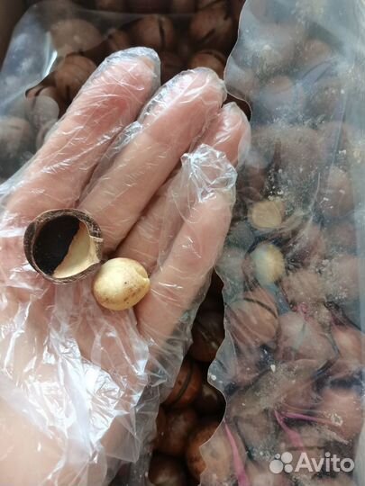 Макадамия орех