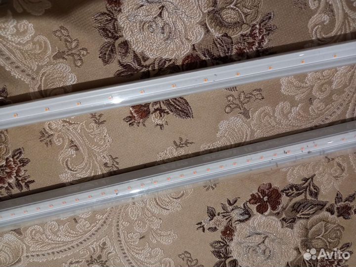 Фитолампы для растений