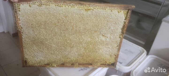 Продукты пчеловодства
