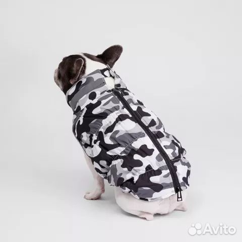 Куртка жилет для собак французский бульдог