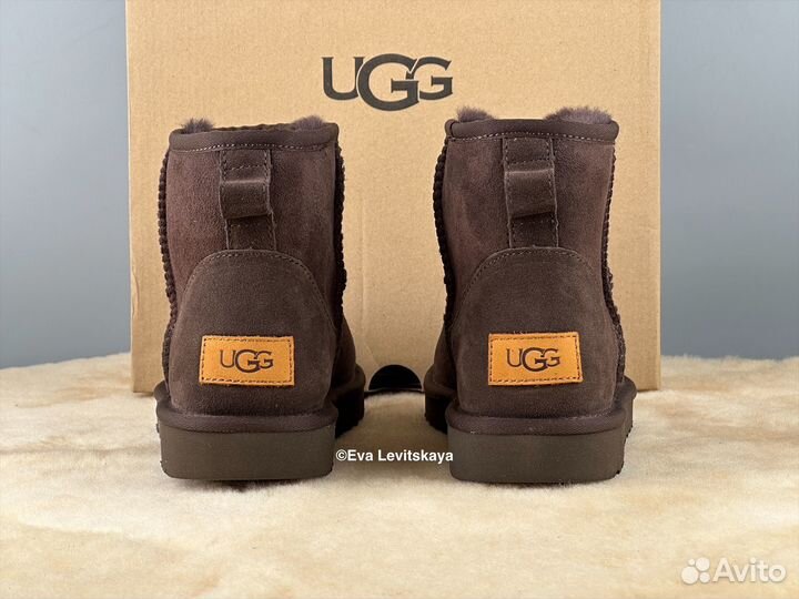 Угги женские Ugg Classic Mini II Chocolate