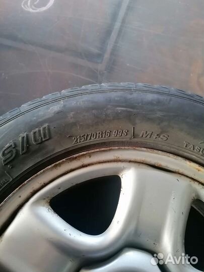 Toyo Z Radial Z-24 215/70 R16