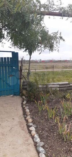 Дом 37 м² на участке 31 сот.