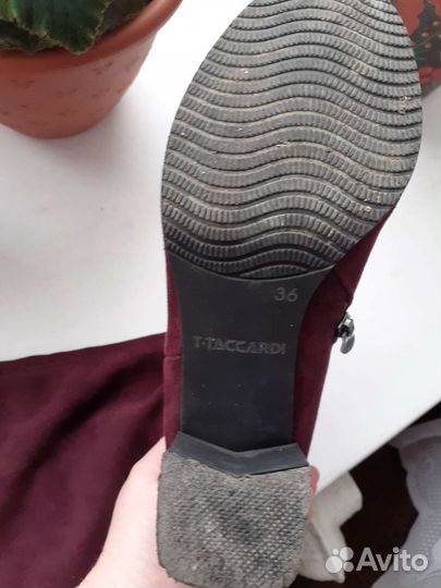 Сапоги чулки