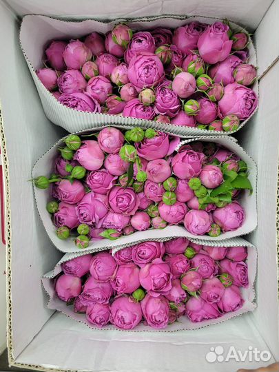 Кустовые розы WOW эффект в букете