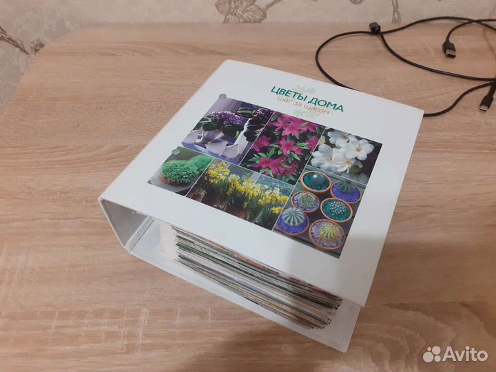 Каталог комнатных растений