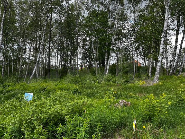 Участок 10 сот. (ИЖС)