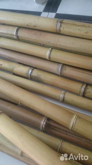 Бамбук в интерьере