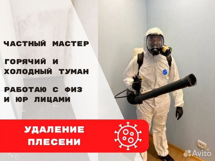 Удаление/ Обработка Плесени/ Дезинсекция