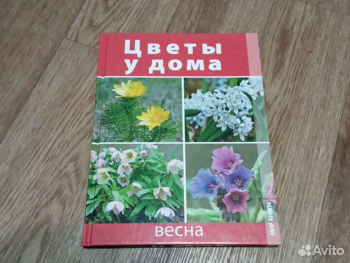 Книга Цветы у дома