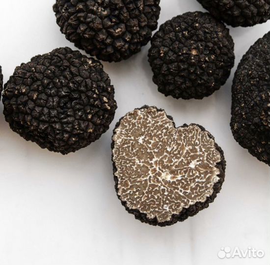Трюфель Гриб - Tuber Aestivum