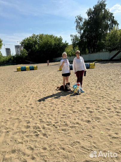 Кинолог для собак