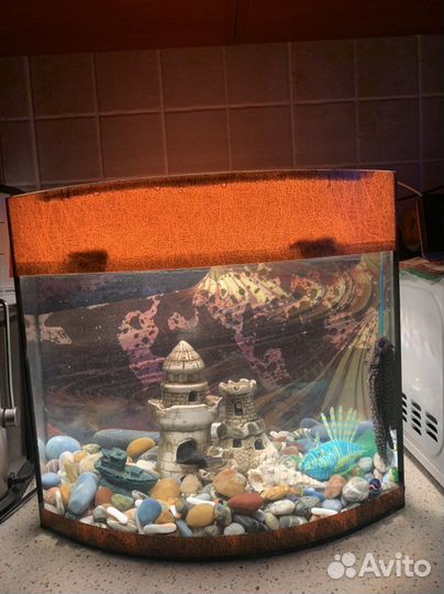 Аквариум 30л