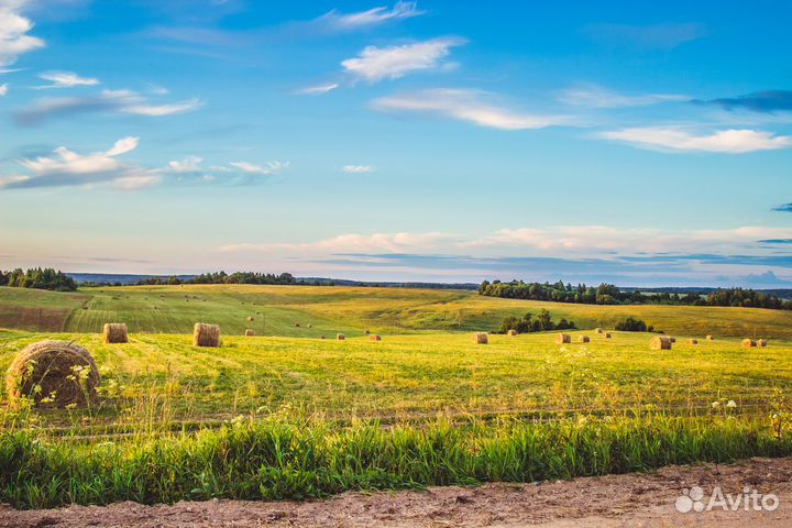 Скотник доярка