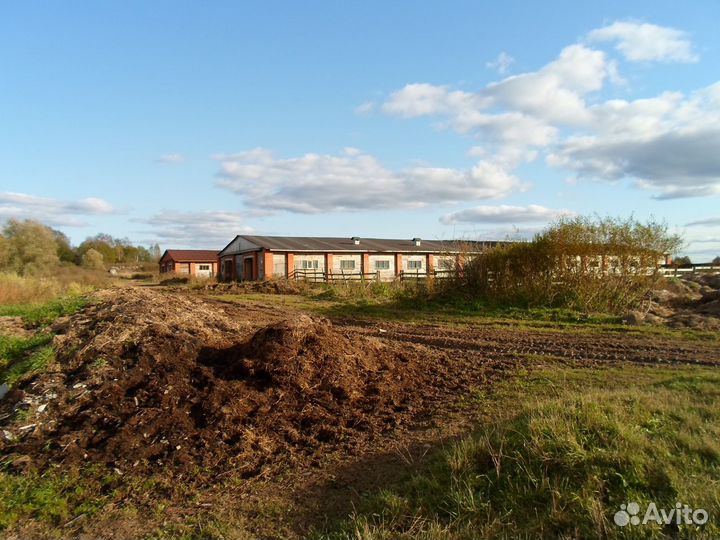 Животноводческая ферма