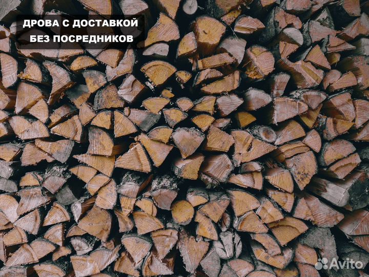 Дрова березовые