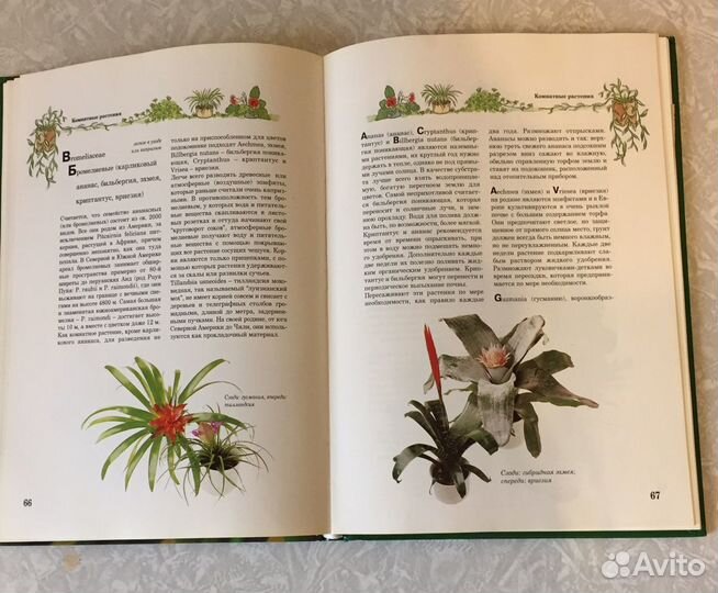 Книга «Комнатные растения»