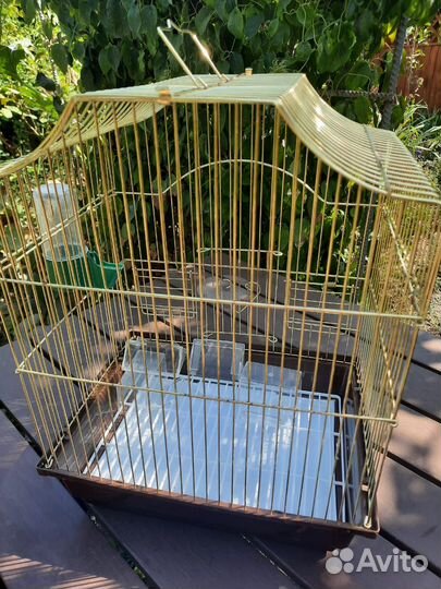 Клетка для волнистого попугая