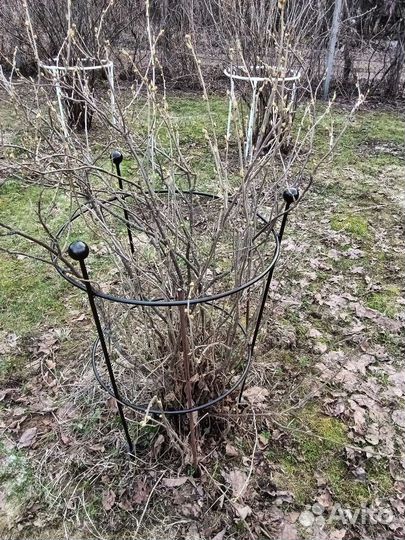 Опора для кустовых растений
