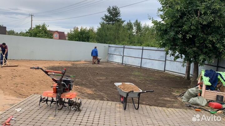 Рулонный газон от производителя