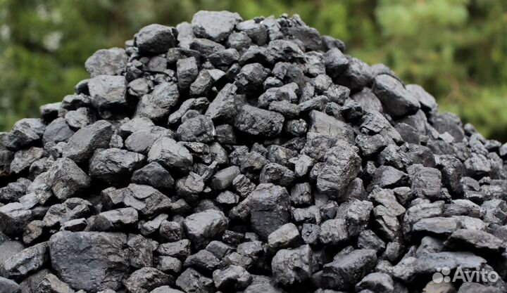 Купить уголь доставка тараканом