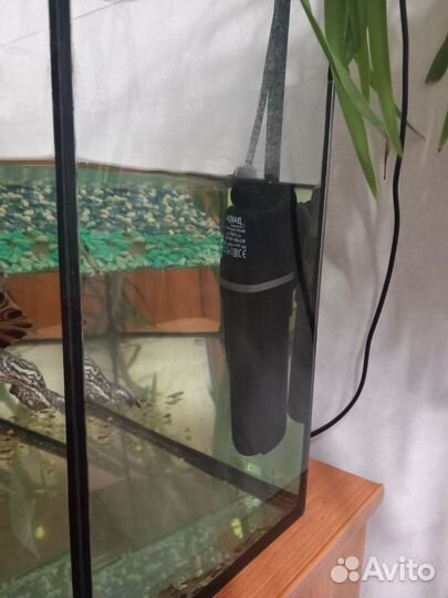Аквариум для черепах