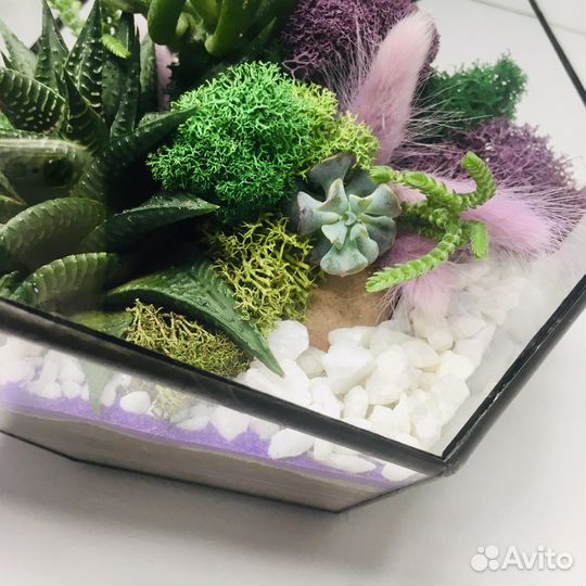 Флорариум с экзотическими цветами