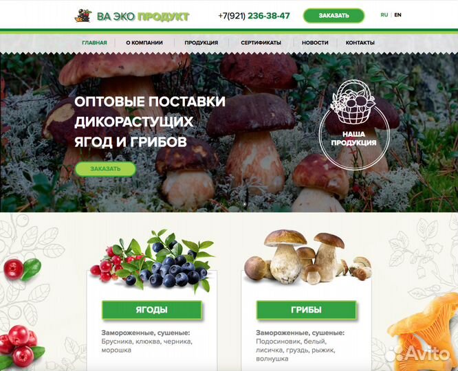 Создание сайтов. Продвижение сайтов в Твери