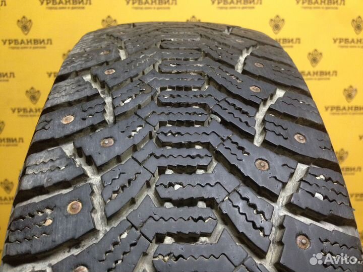 Cordiant Polar 185/60 R14