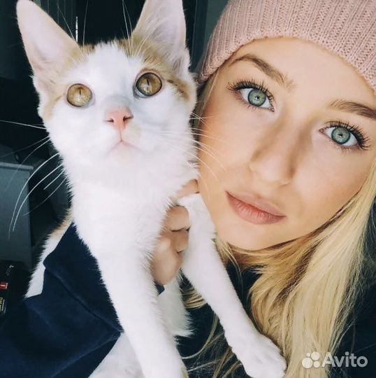 Выгул и передержка ул. Фестивальная, Речной вокзал