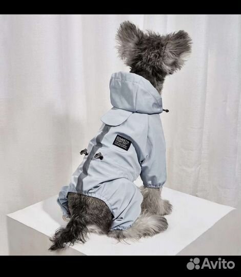 Дождевик для собаки