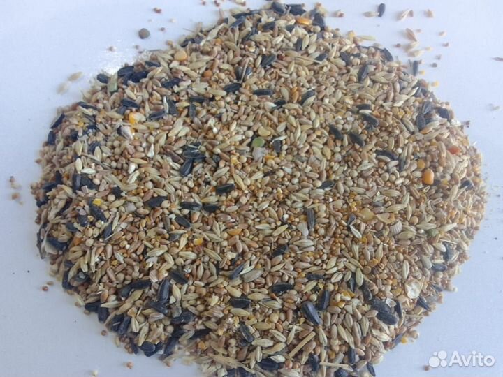 Зерносмесь для животных