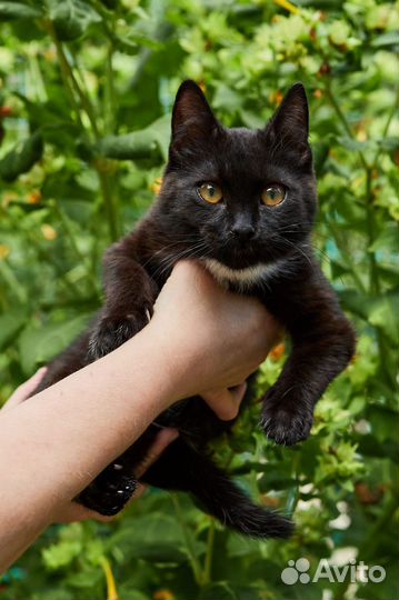 Она такая одна, единственная и не повторимая