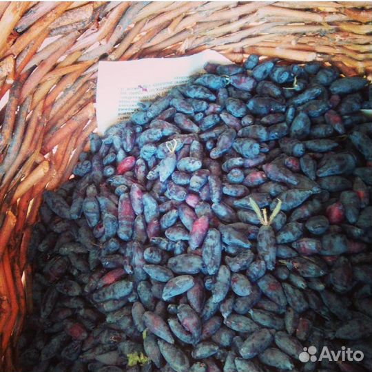 Продам корзины