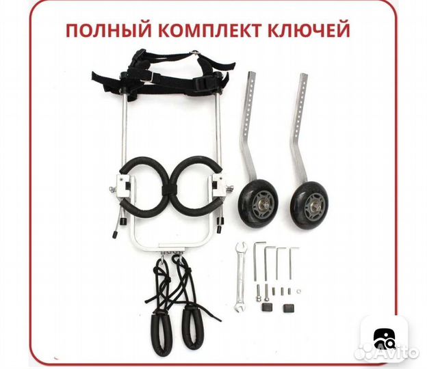 Инвалидная коляска для кошек и собак