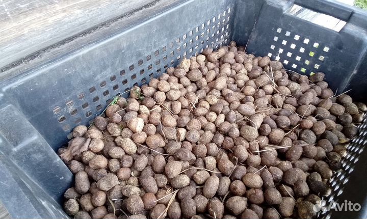 Лосиный навоз помет органическое удобрение