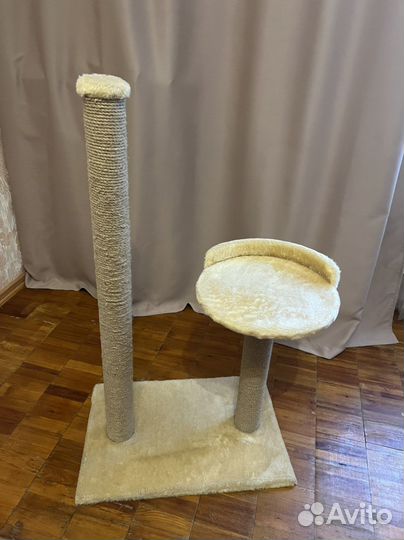 Когтеточка