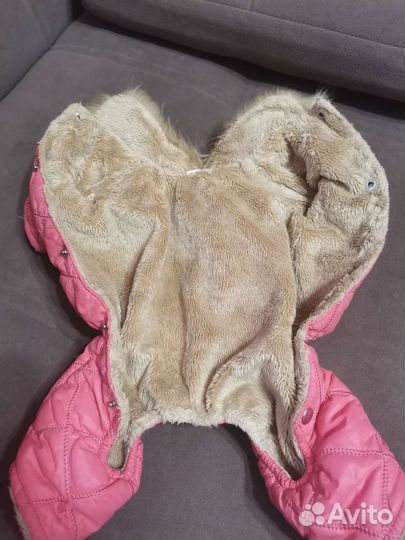 Одежда для маленьких пород собак