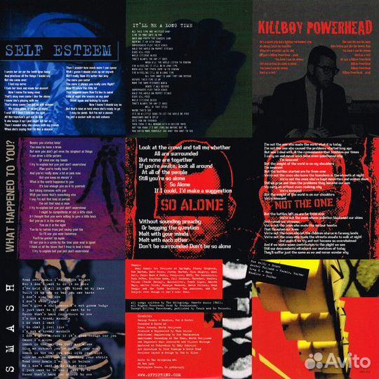 Виниловая пластинка The Offspring - smash