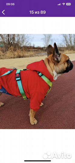 Шлейка с поводком для собаки