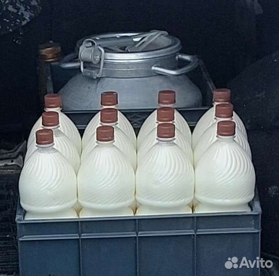 Молоко коровье домашнее