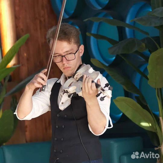 Скрипка на праздник