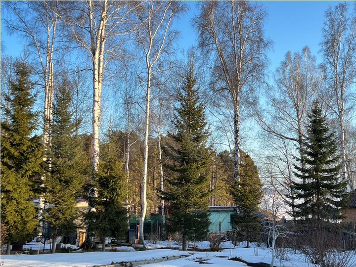 Коттедж 225 м² на участке 20 сот.