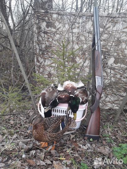 Маскировочная сетка/сеть для охоты (камыш)