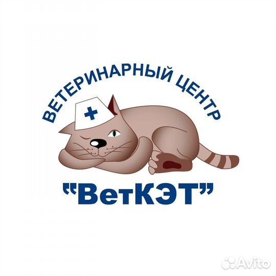 Ассистент ветеринарного врача