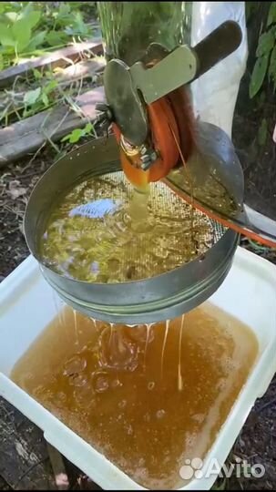 Мед липовый