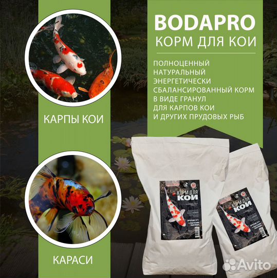 Корм для карпов кои и прудовой рыбы - bodapro